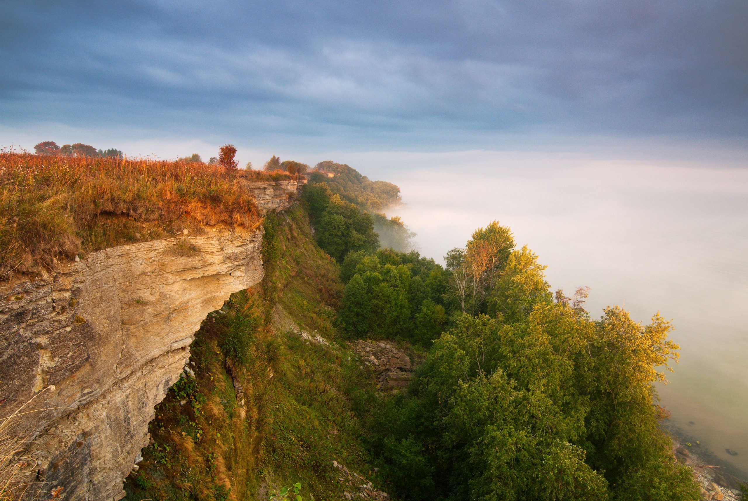 Pankrannik